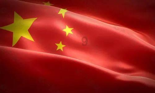 玄凤鹦鹉的毛被虫子咬了还能长吗？游戏画面